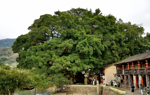 Furong Ancient Town