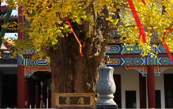 Furong Ancient Town