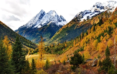 Panda & Mount Siguniang Tour