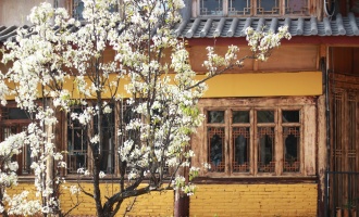 Day 1: Kunming Arrival