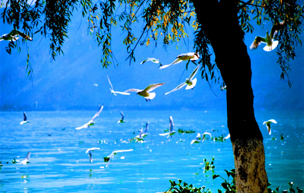 Day 2: Kunming - Dali