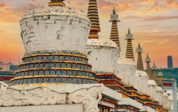 2 Days Xining & Qinghai Lake Cultural Discovery Tour