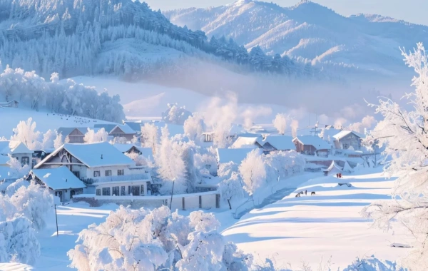 Day 2: Harbin&Departure