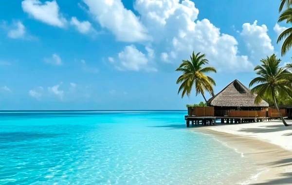 2-day private sightseeing in Sanya: Nanshan Park and Wuzhizhou Island