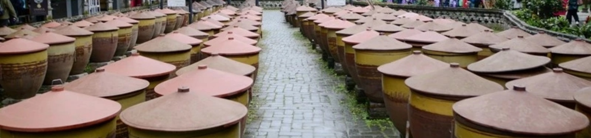 Panda and Sichuan Cuisine 1-Day Tour