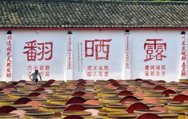 Day 1: Sichuan Cuisine Museum & Qingcheng Mountain