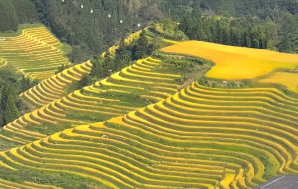 Day 4: Yangshuo - Longsheng 