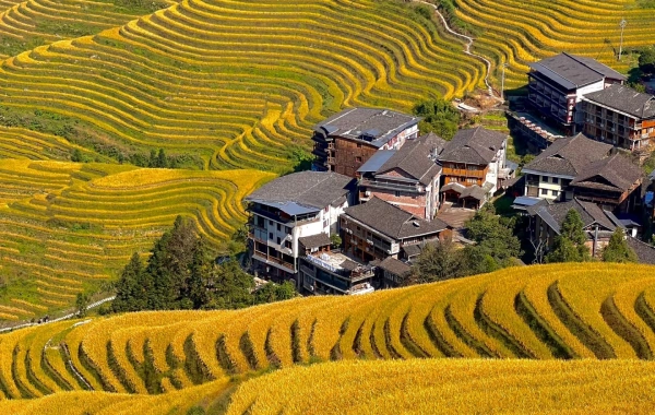 9-Day Guangzhou, Guilin & Guizhou Tour