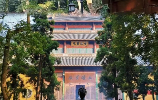 Day 5: Shanghai--Hangzhou