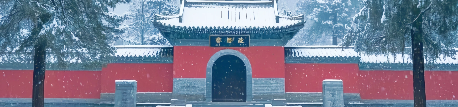 1 Day Longmen Grottoes & Shaolin Temple Cultural Tour