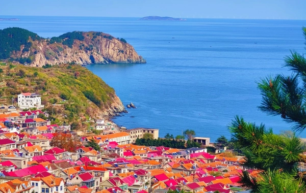 Day 2：Qingdao - Weihai