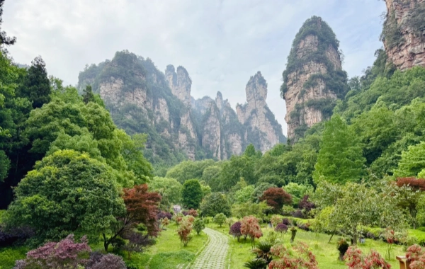 4-Day China Highlights: Shanghai Disney & Zhangjiajie Peaks