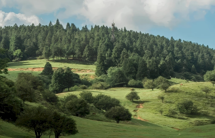 Fairy Mountain (Xiannüshan) Chongqing